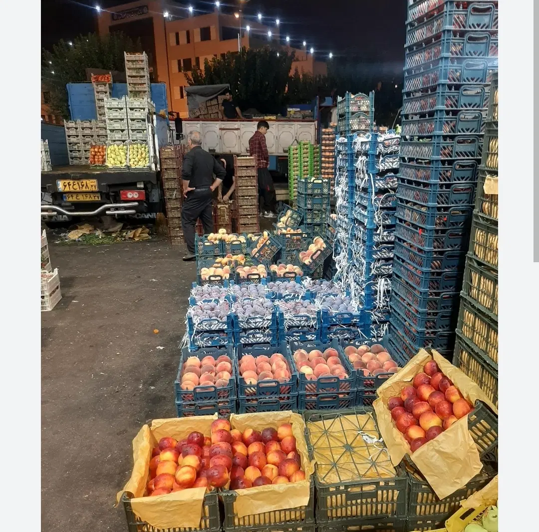 اجاره ۱.۵ دانگ میدان میوه و تره بار مرکزی تهران