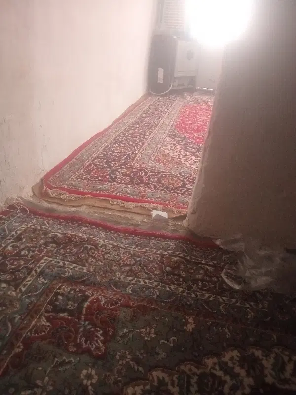 هم خونه