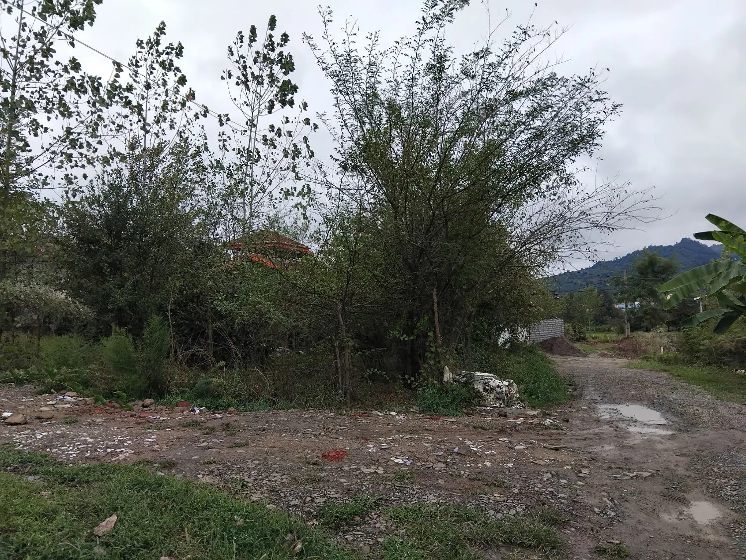 فروش زمین کاملا مسکونی در کتشال