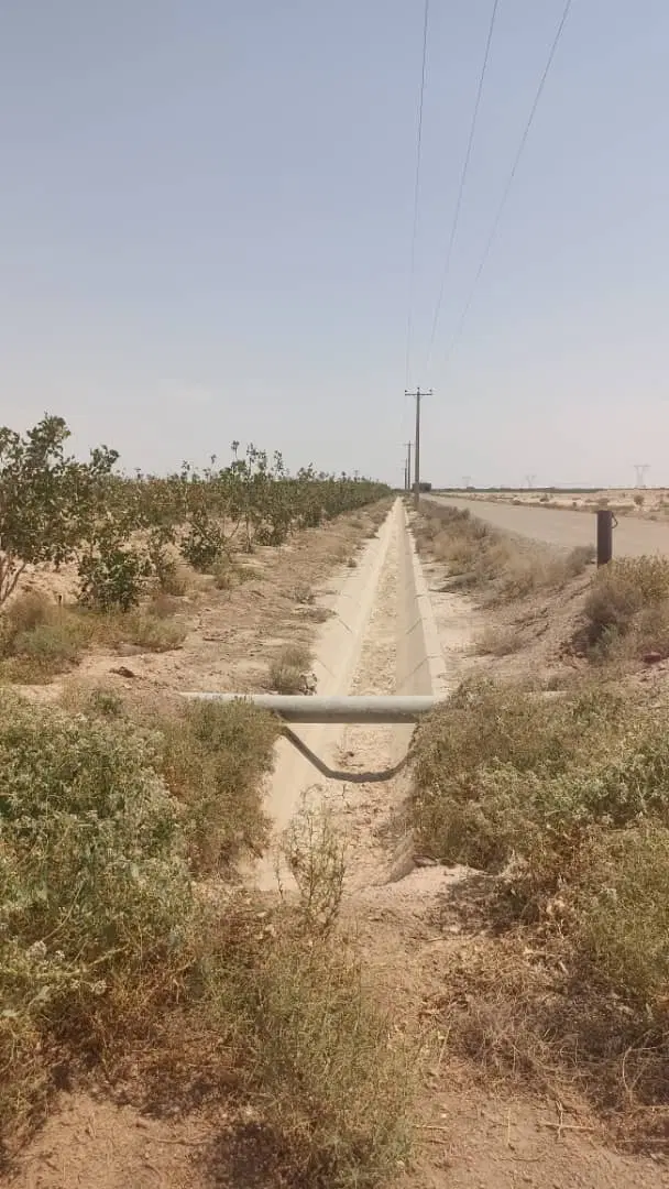 فروش زمین باغی سند تک برگ اقساط