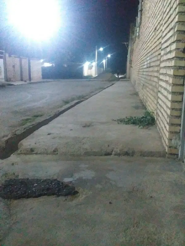 جریه سیدمحمد