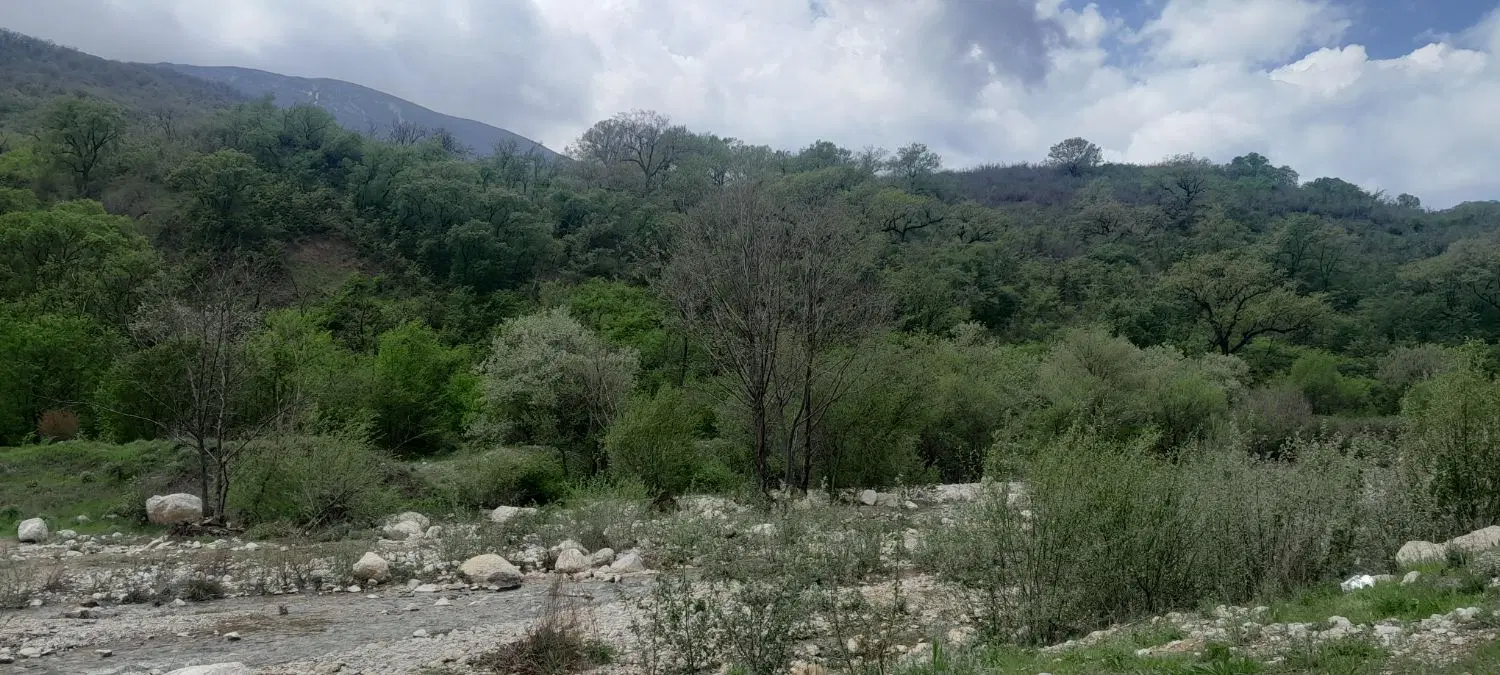 زمین 4دیواری شهرک شاهد