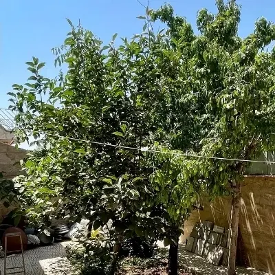 فروش زمین تجاری مسکونی