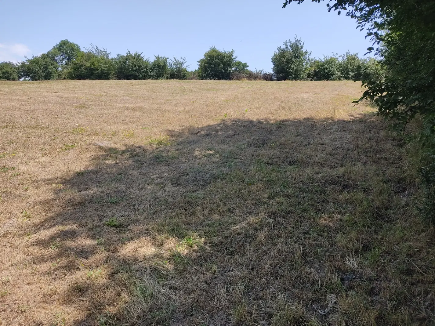 زمین مناسب باغ ویلا در بره سر، روستای دوسالده