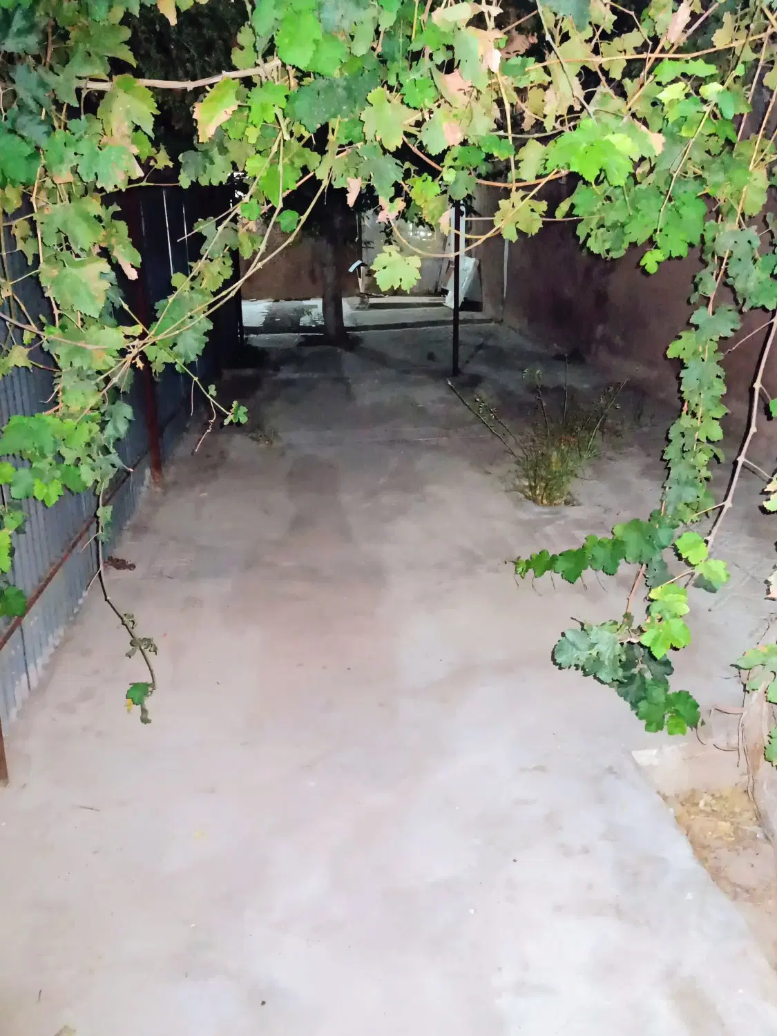 مورد رهنی خیابان کوثری مرکز شهر