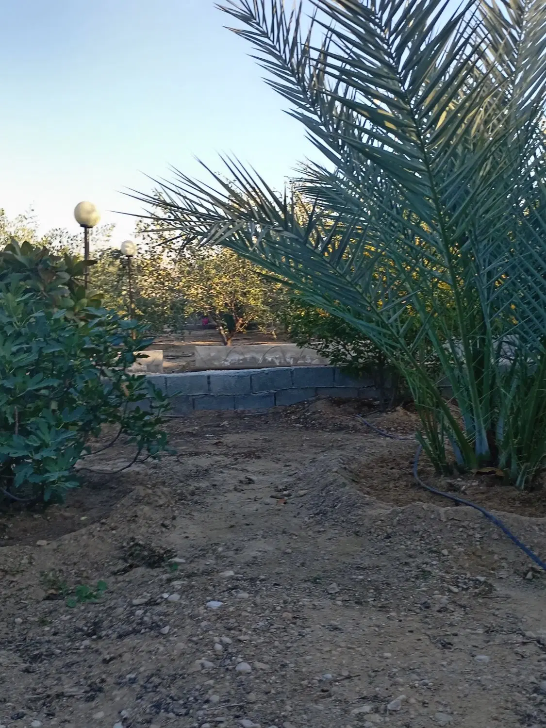 باغ شهری