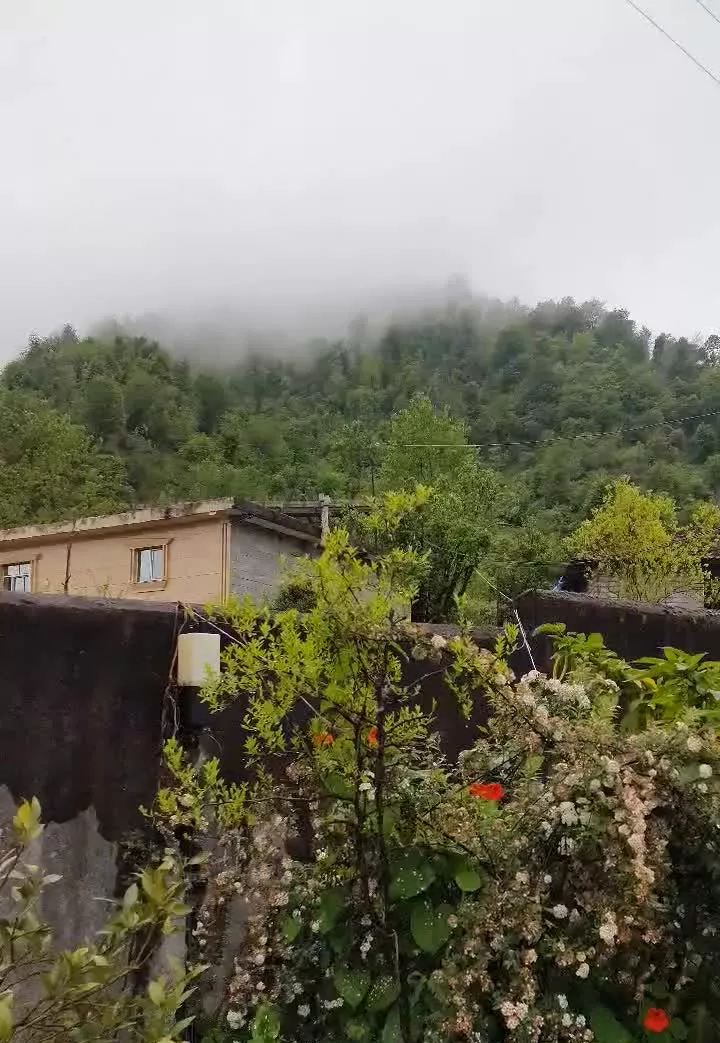 واحد برای خانواده،اقامتگاه جنگلی،ویلای تمیز