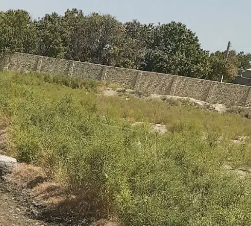 فروش زمین