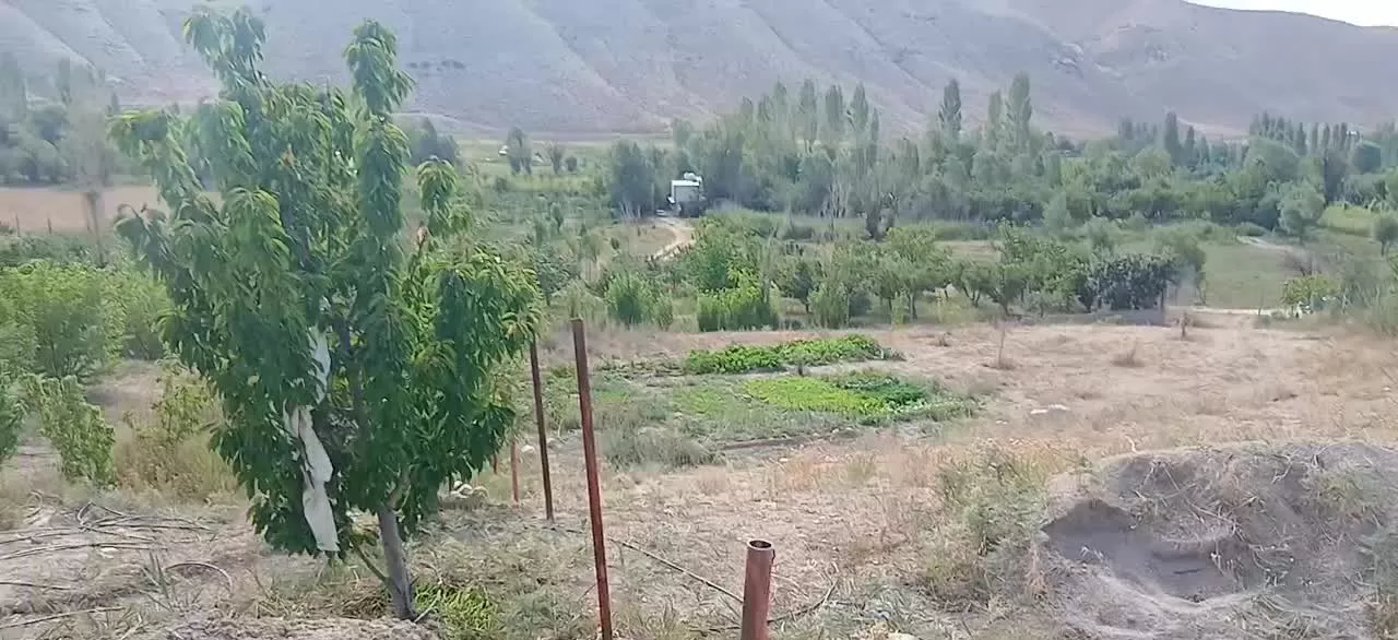 زمین فروشی روستای زیبای طارس
