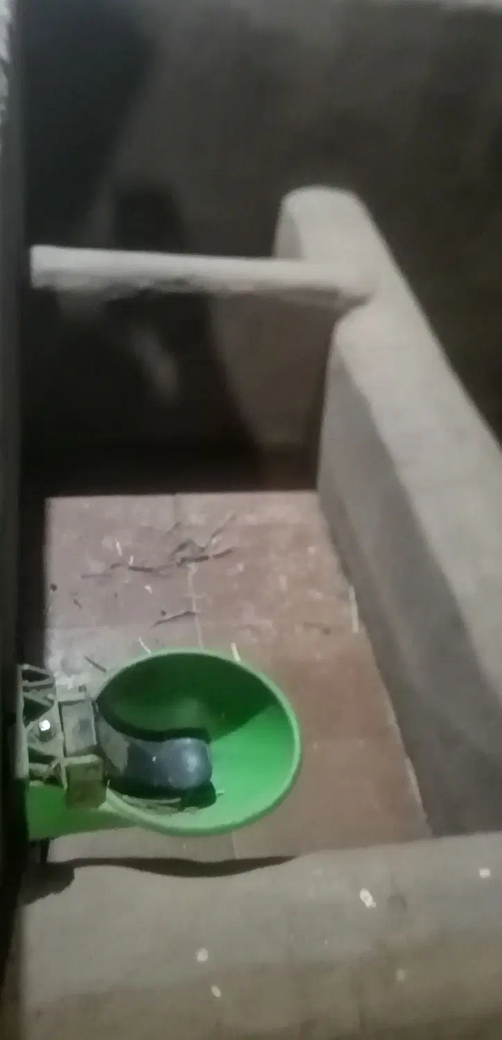 باشگاه سوار کاری