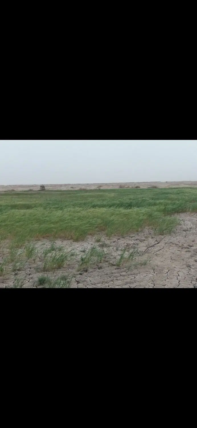 اجاره زمین کشاورزی