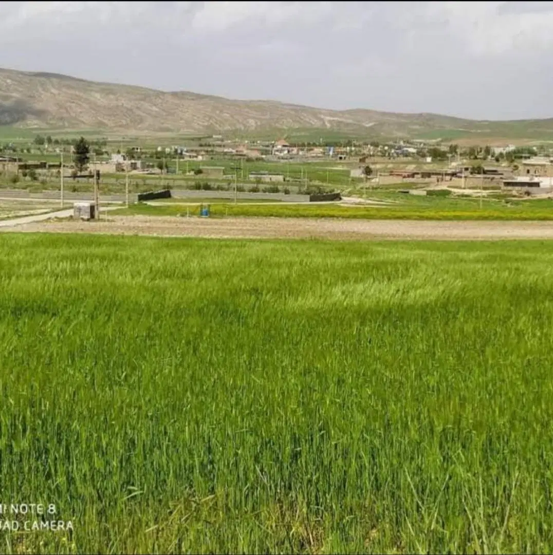 فروش زمین در شهرک ولایت