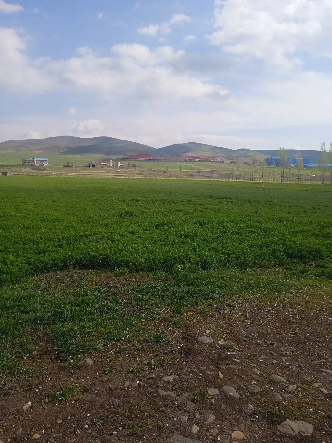 زمین کشاورزی
