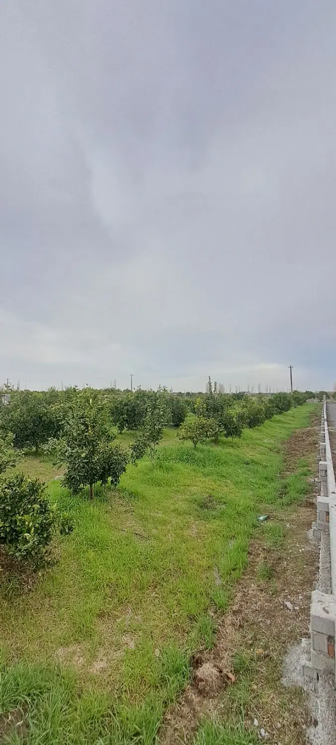 باغچه ۳۵۰ متری نزدیک به میدان اصلی محل