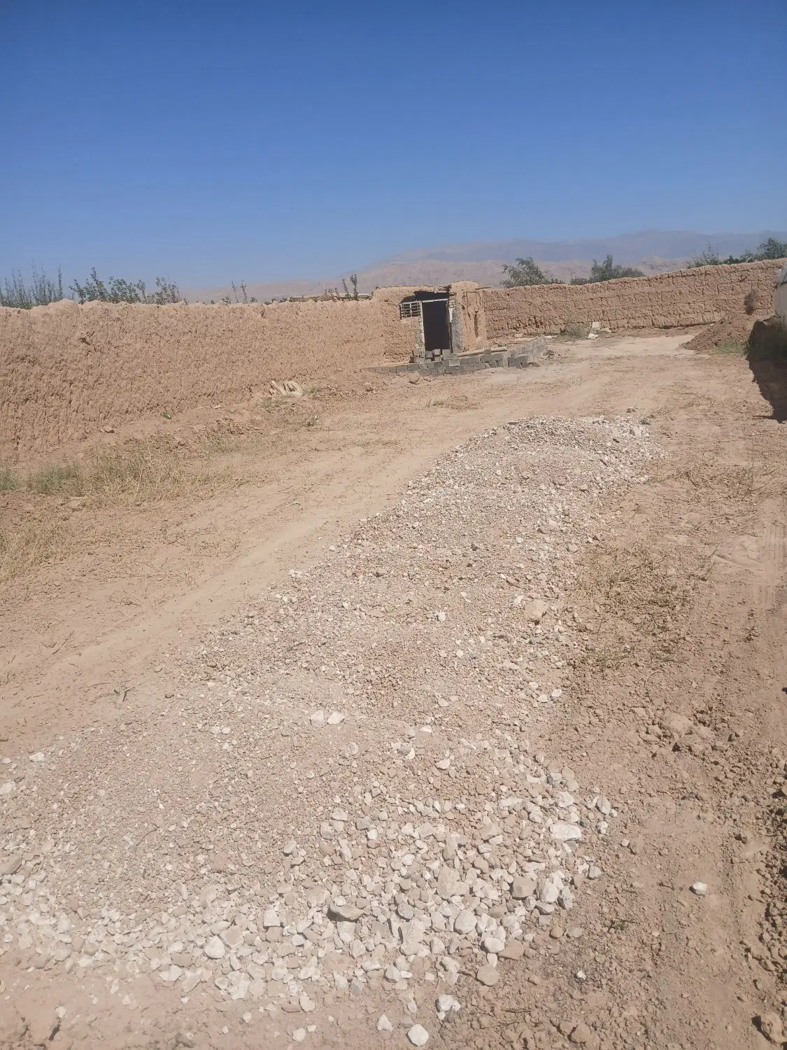 زمین باغی