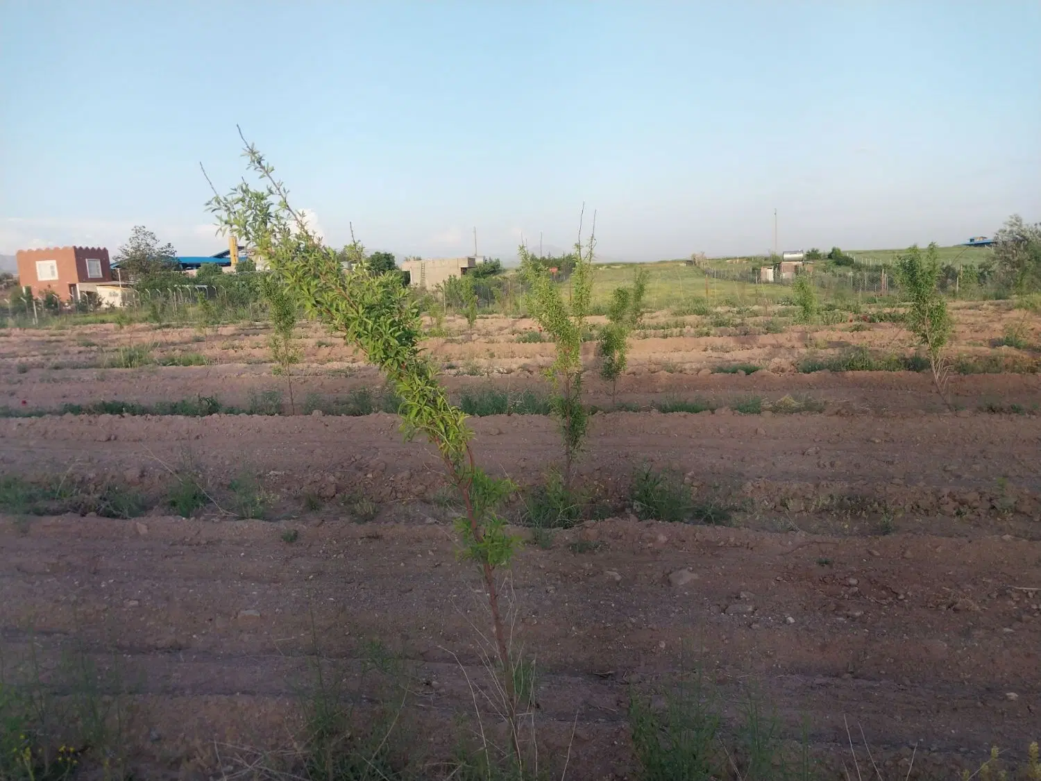زمین با موقعیت عالی درجاده میانبر