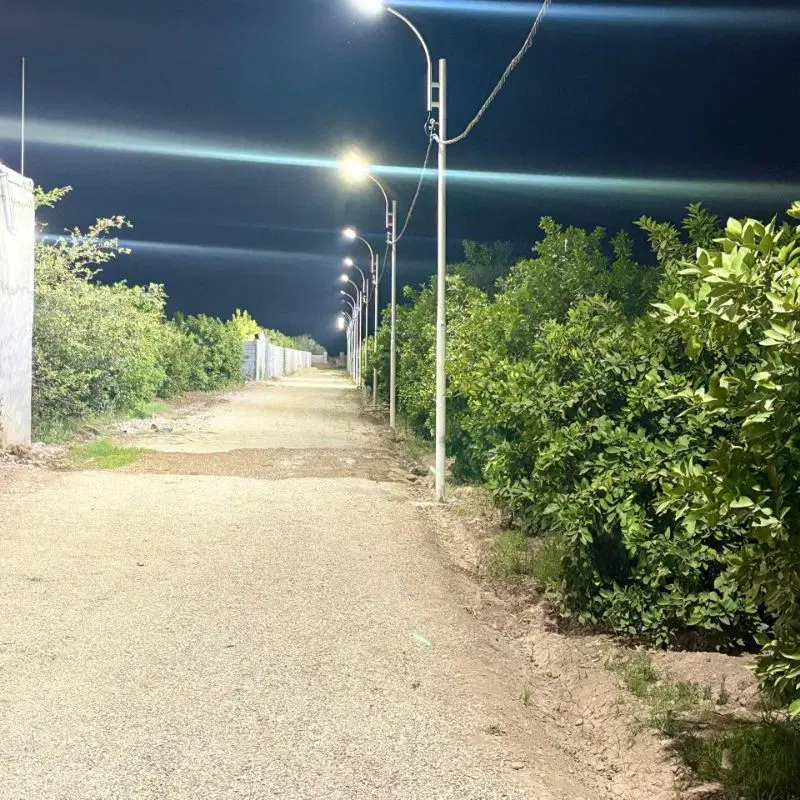 باغچه