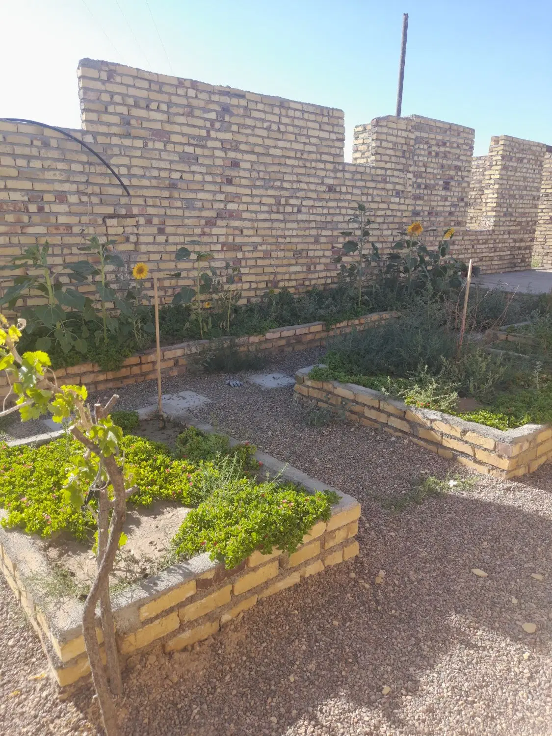 خانه باغ فروشی مهروس