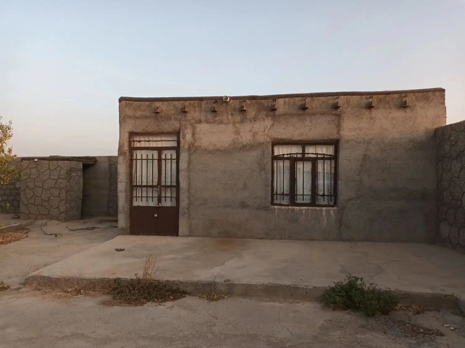 فروش باغ با درختان مثمر ۸ ساله