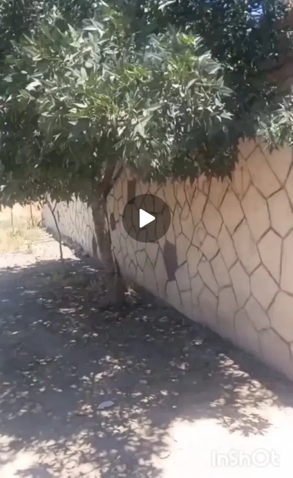 باغ ویلایی ۱۳۰۰متری