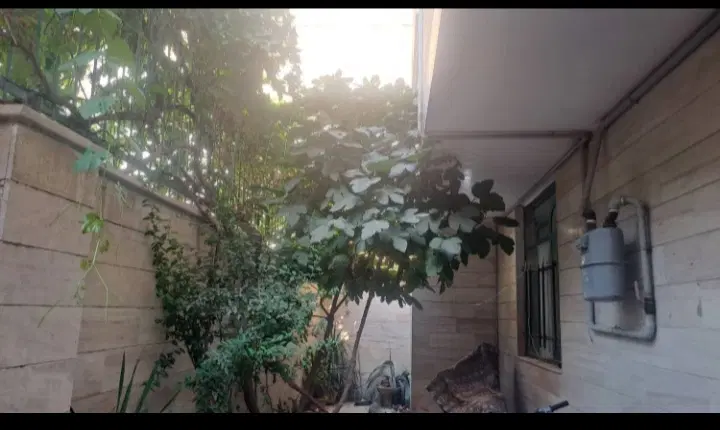 اجاره یک ساختمان ویلایی جهت سکونت وسایرمشاغل_خ سرو