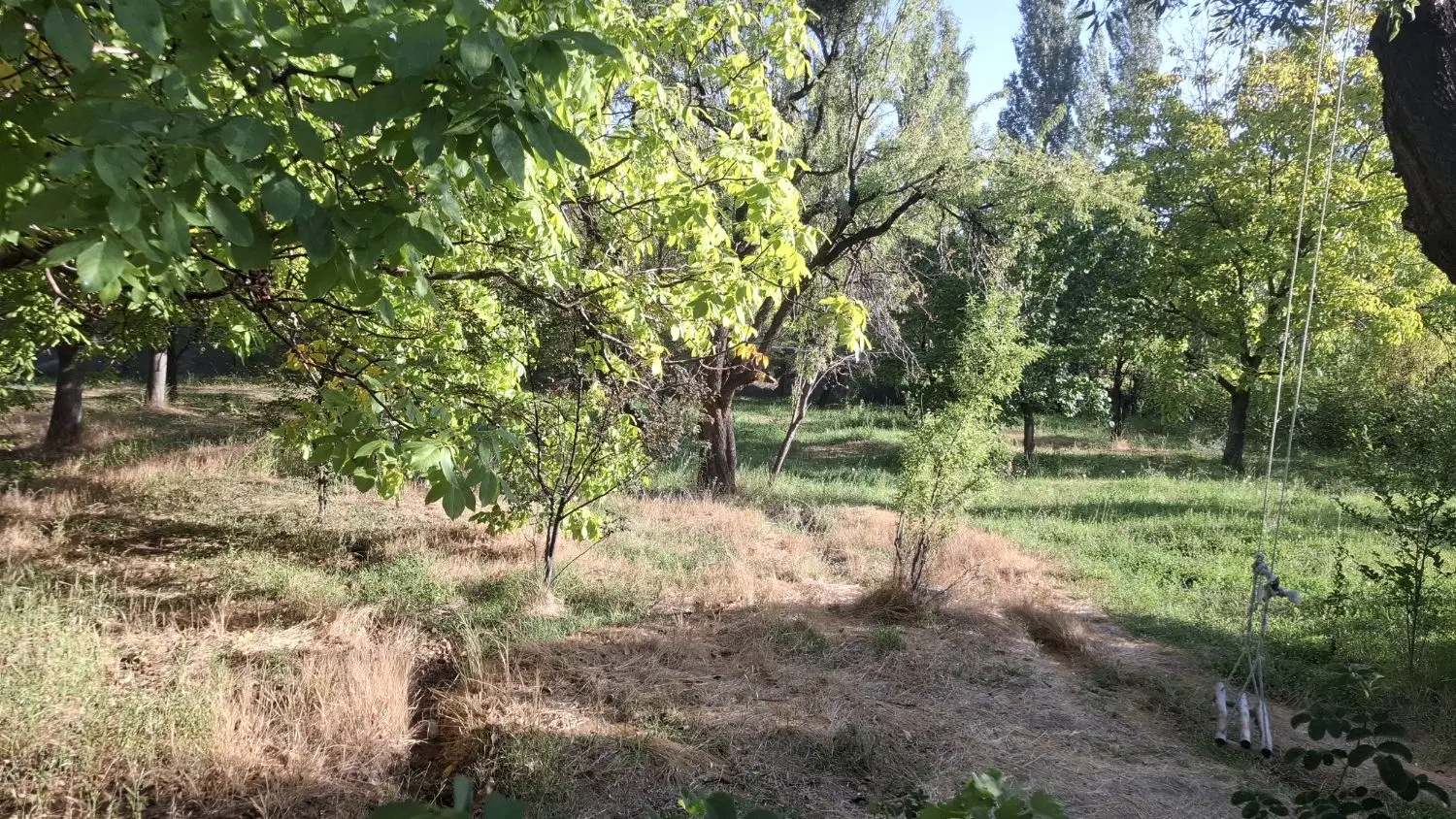 باغ ویلا