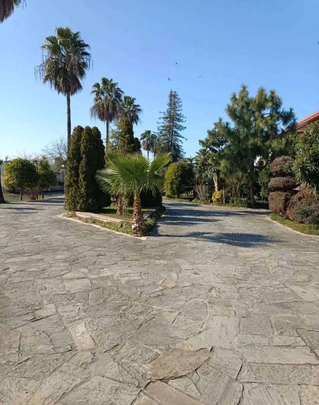 زمین ۲۵۱ متری شهرکی با امکانات کامل سرخرود
