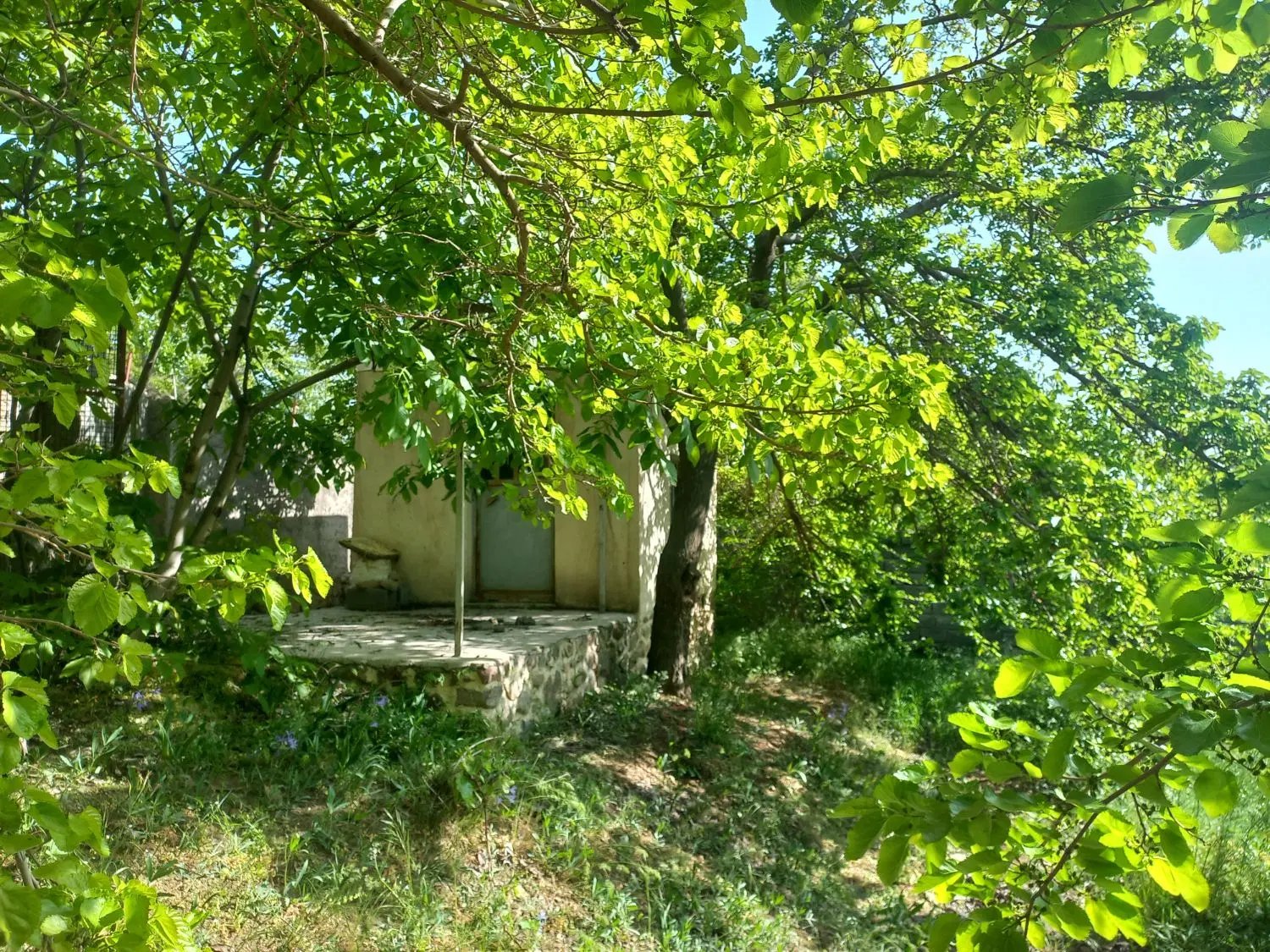 باغچه در ولیان کردان دور دیوار