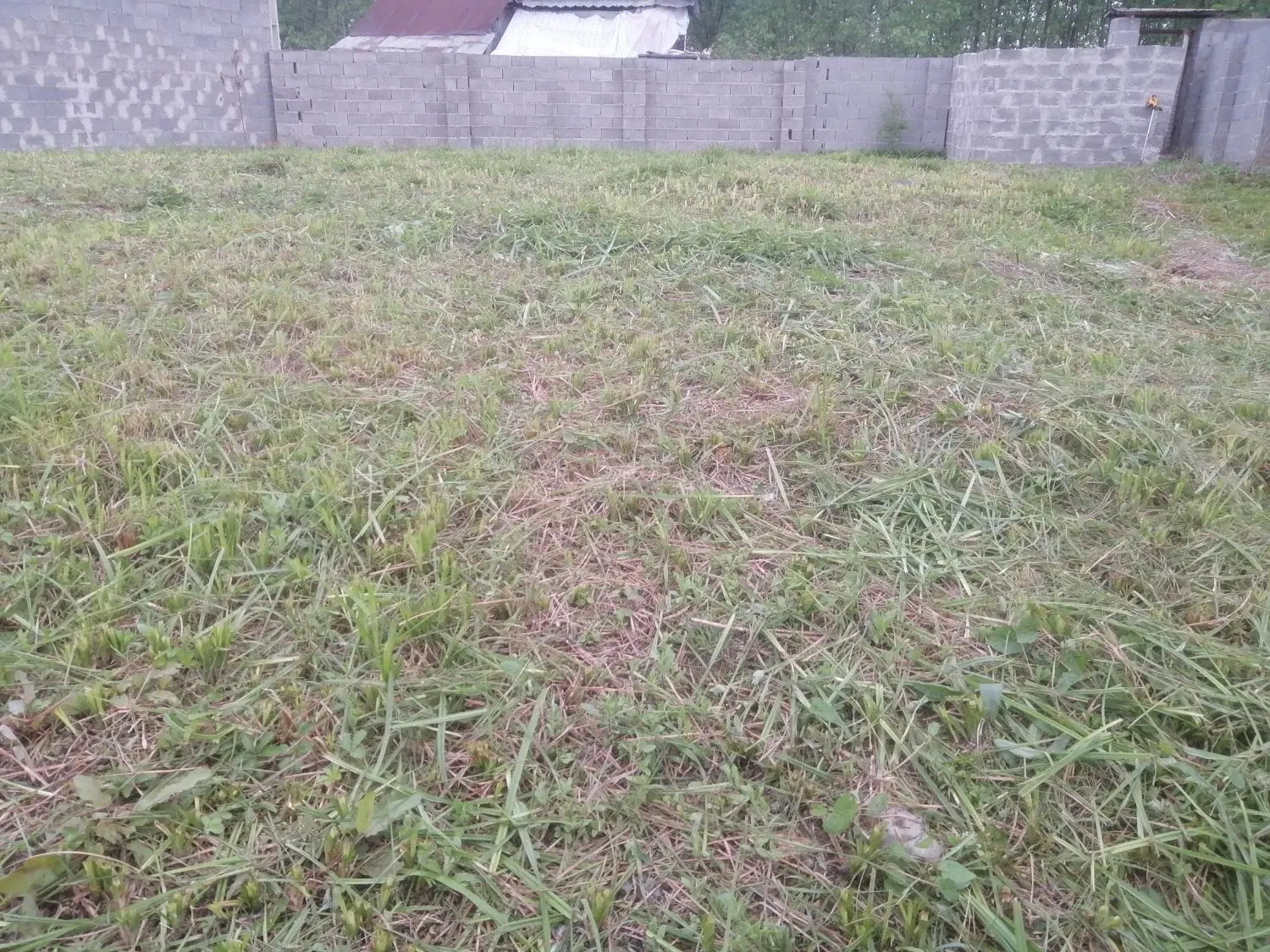 فروش زمین مسکونی آقا سید شریف سند تک