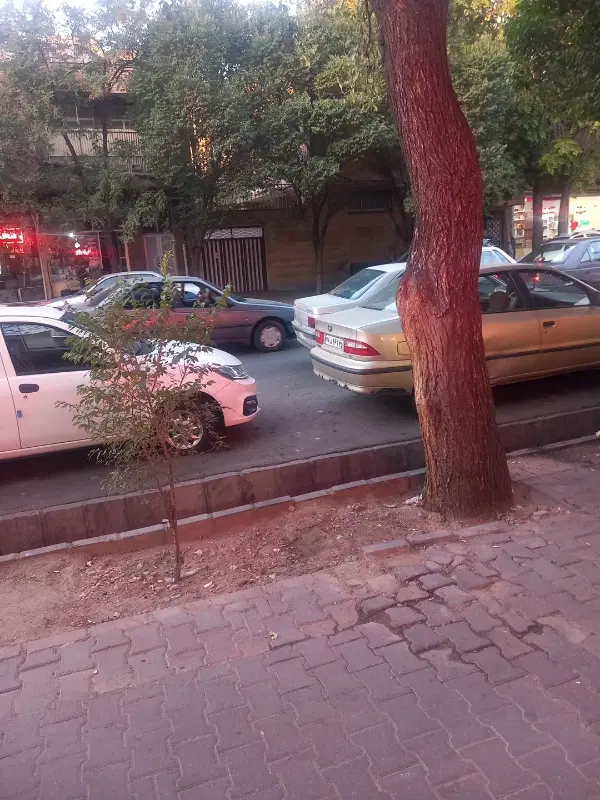 مغازه سرباز شهید