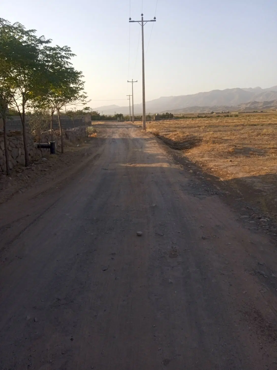زمین  جاده باغرود کوچه باغستان