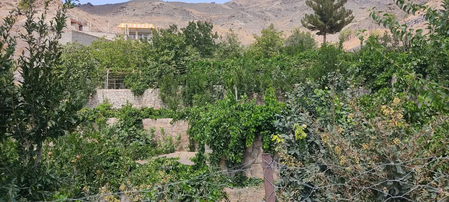 باغ فروشی - روستای قز