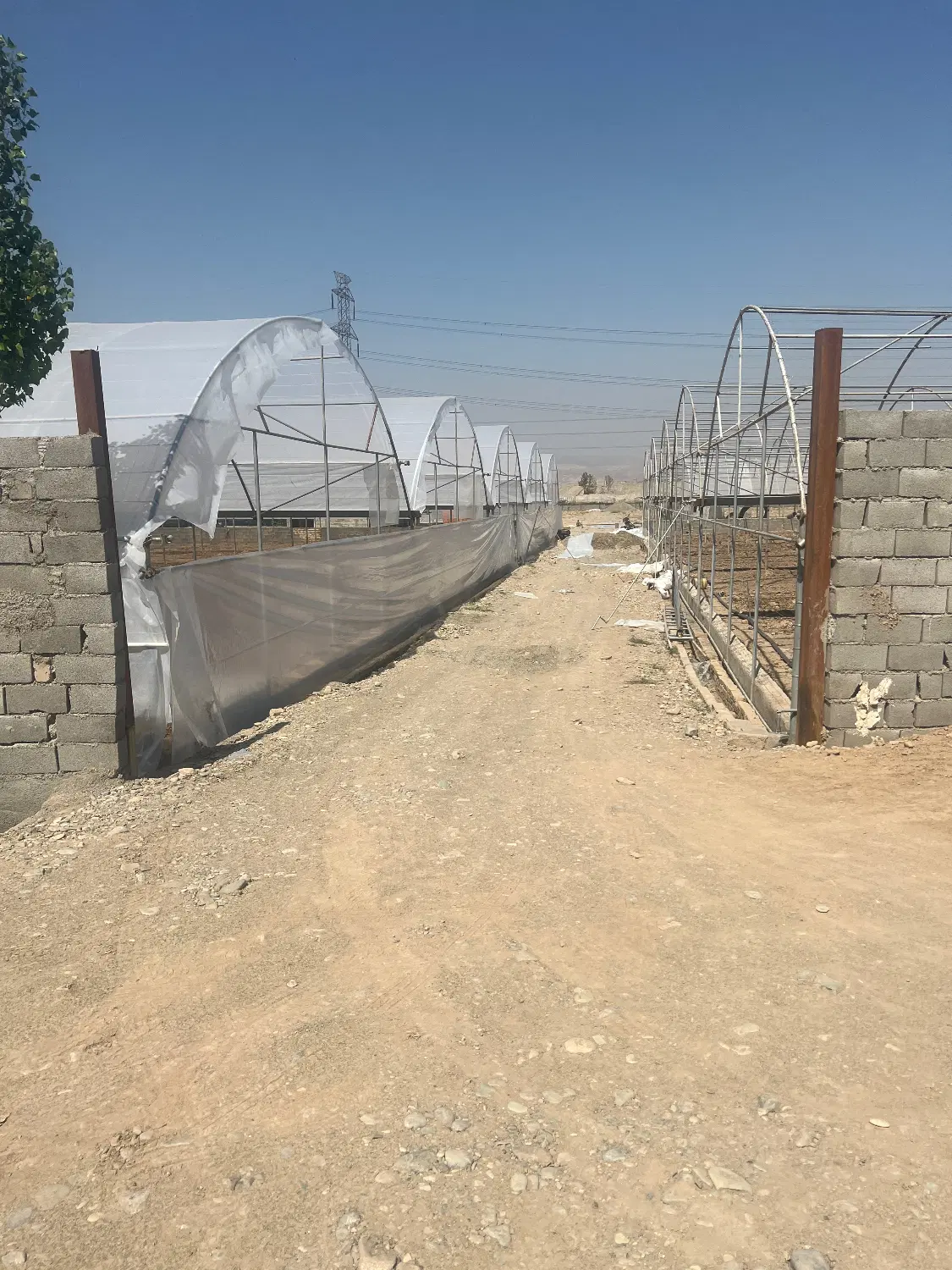 فروش زمین وگلخانه