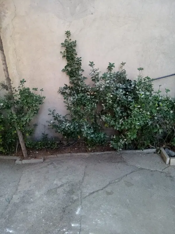 فروش منزل ویلایی