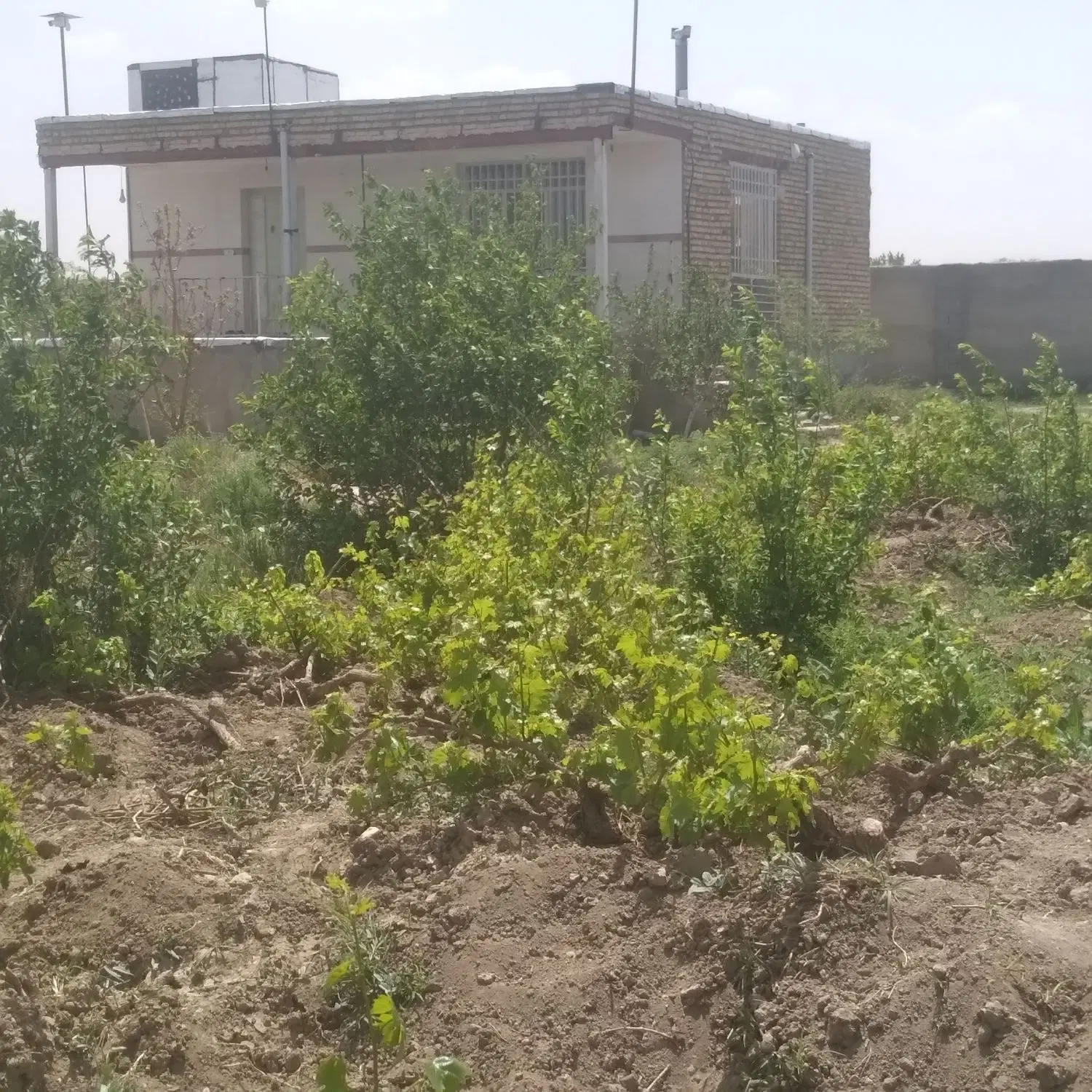 فروش ۲ هکتار زمین طرح هادی جنب سد خاکی