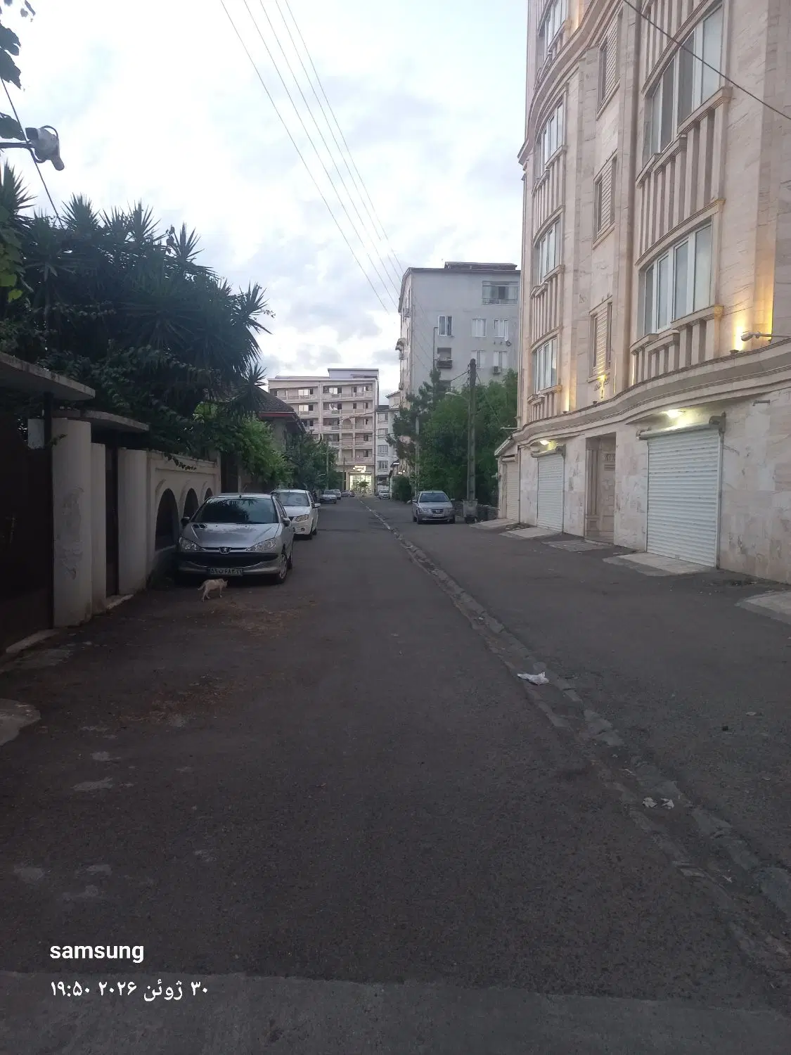تک واحد