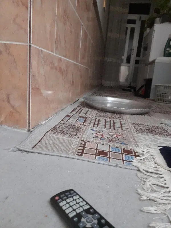 اجاره