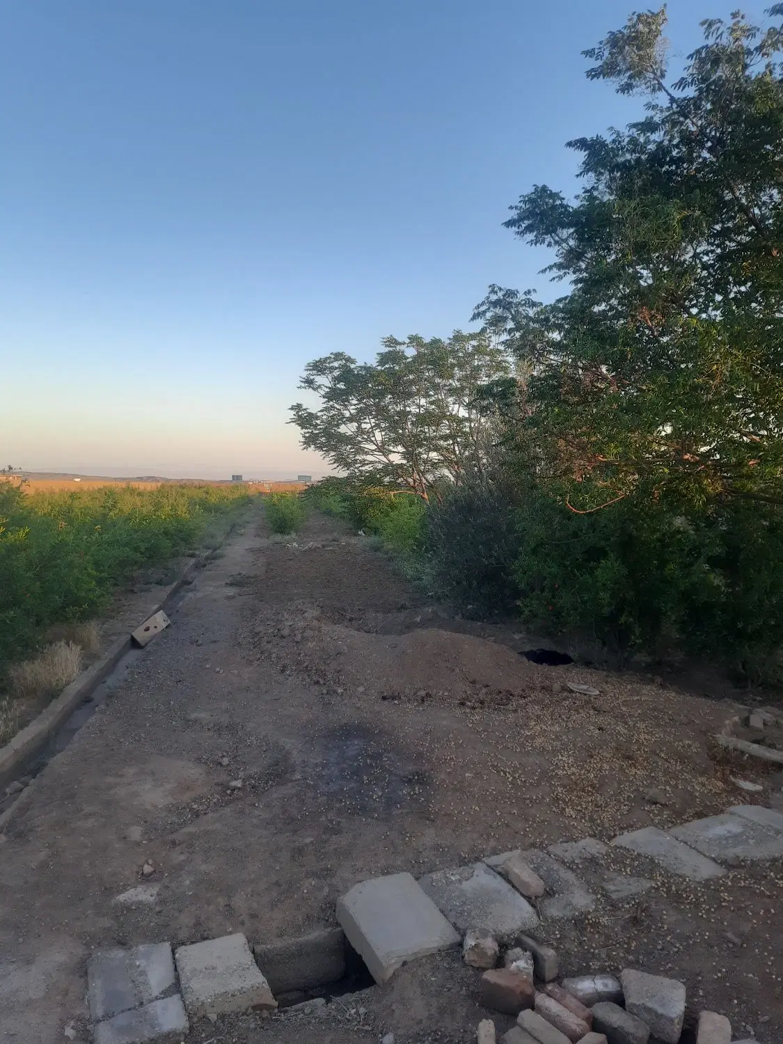 باغ انار ۸۰۰۰هزارمتری.کنار اتوبان ساوه