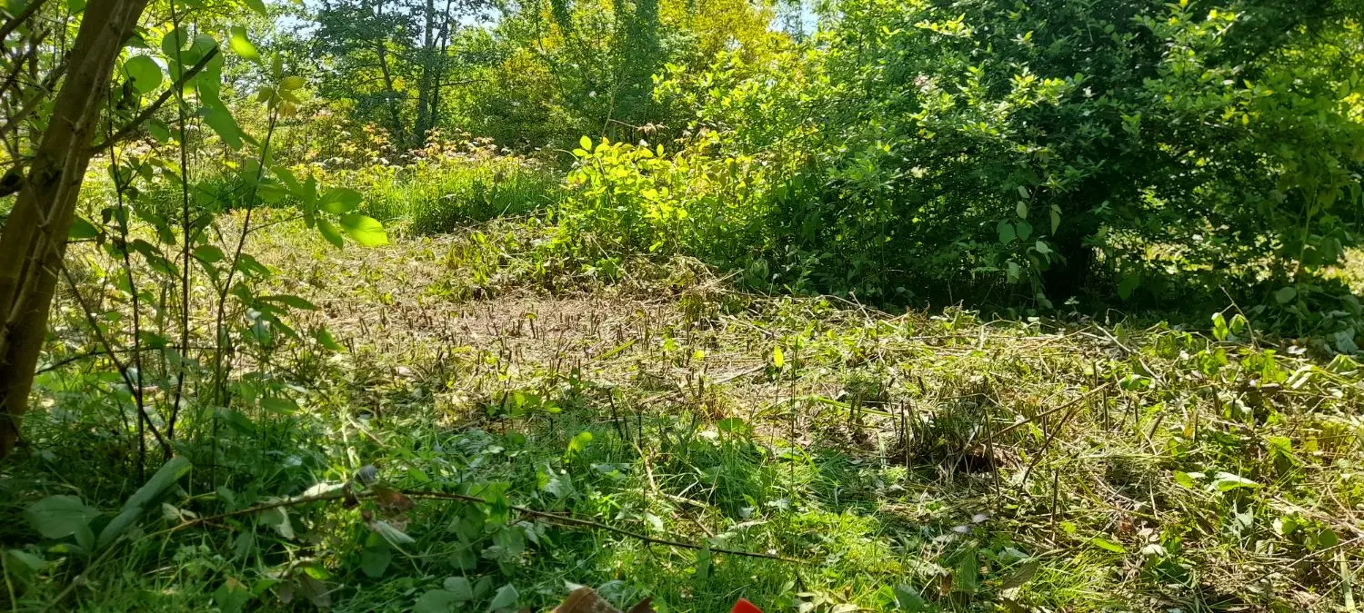 زمین برای سرمایه‌گذاری با قیمت مناسب