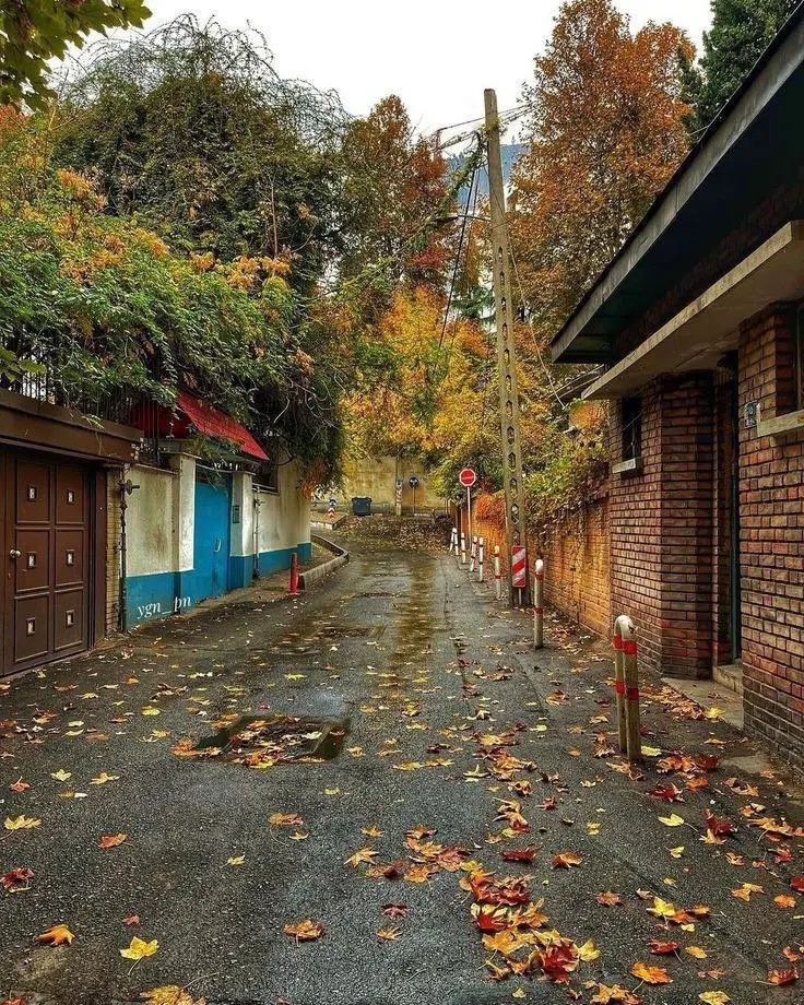 خونه ویلایی ۴۲۰ متری(۲۰*۲۱)