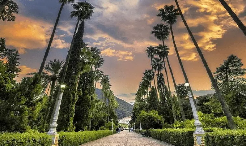 خریدار و فروشنده ملک