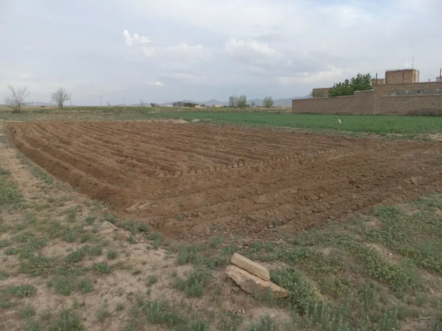 زمین باغی روستای رباط شورین