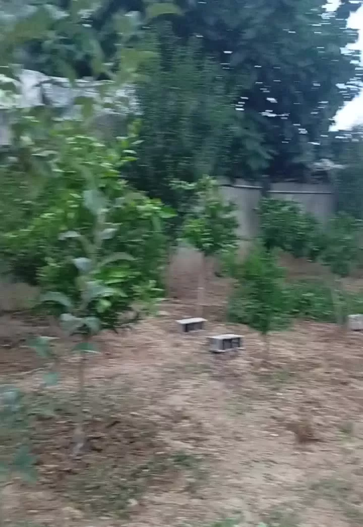 ویلا باغ ۶۰۰ متری