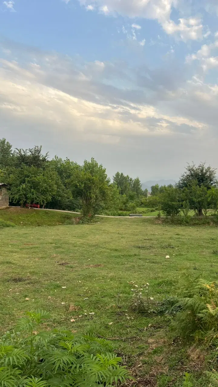 زمین مسکونی سند دار در فومن
