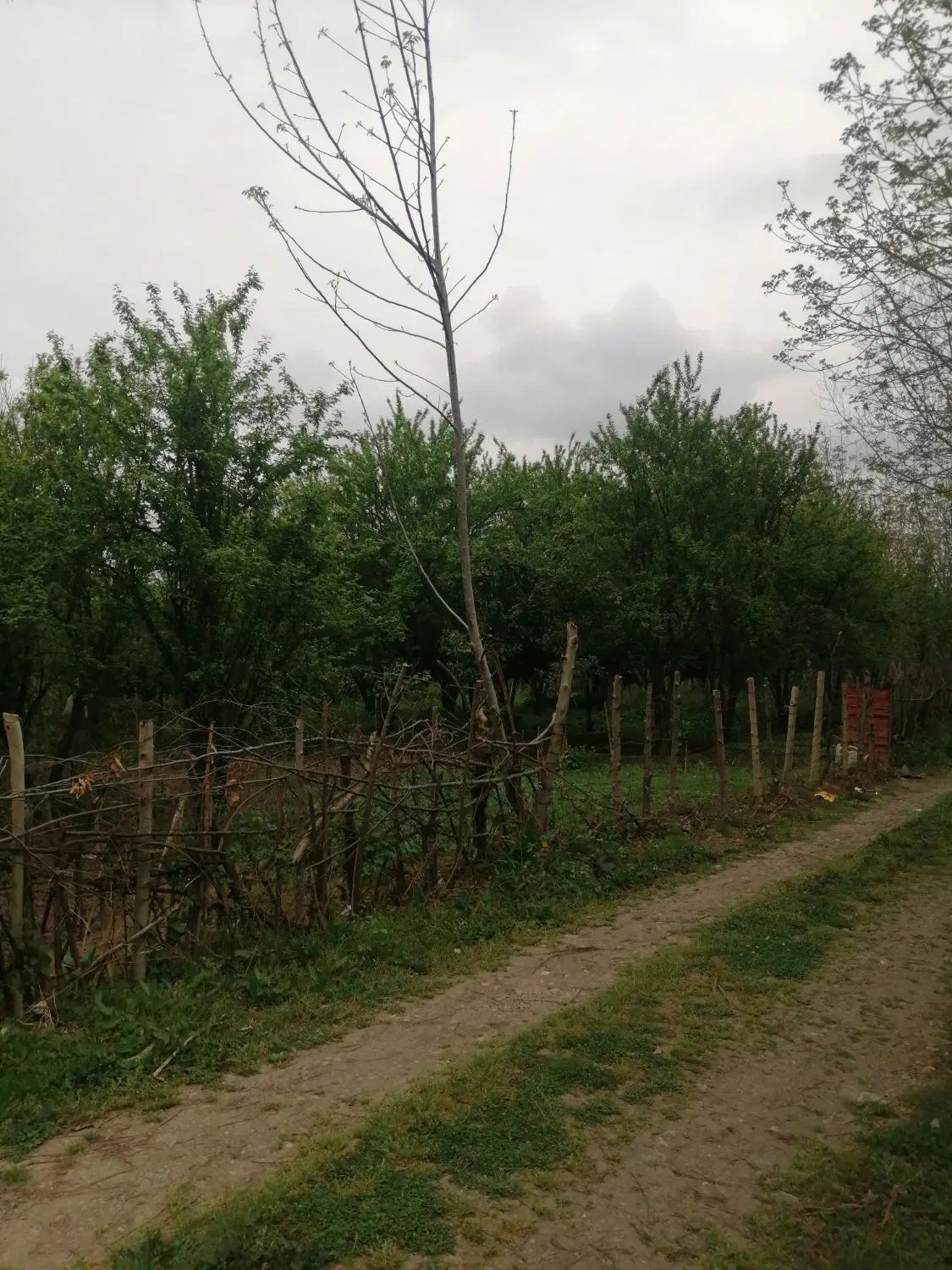 فروش زمین باغچه