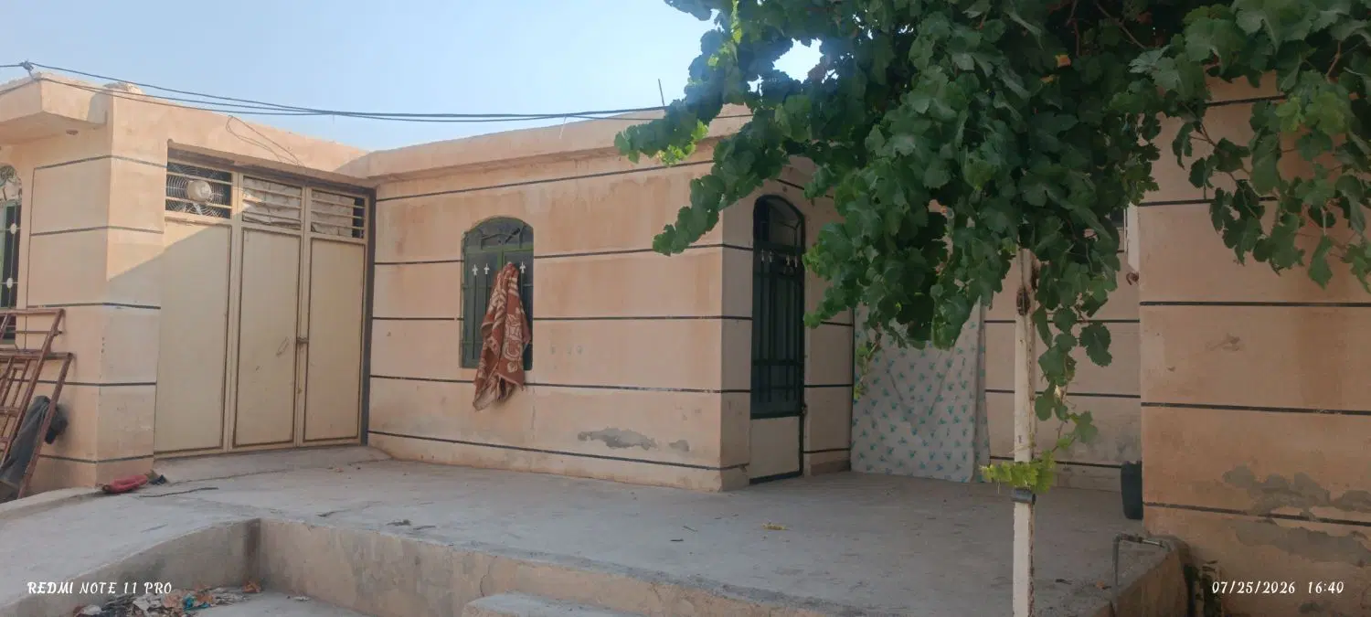 اجاره گلخونه 3 هزار متری