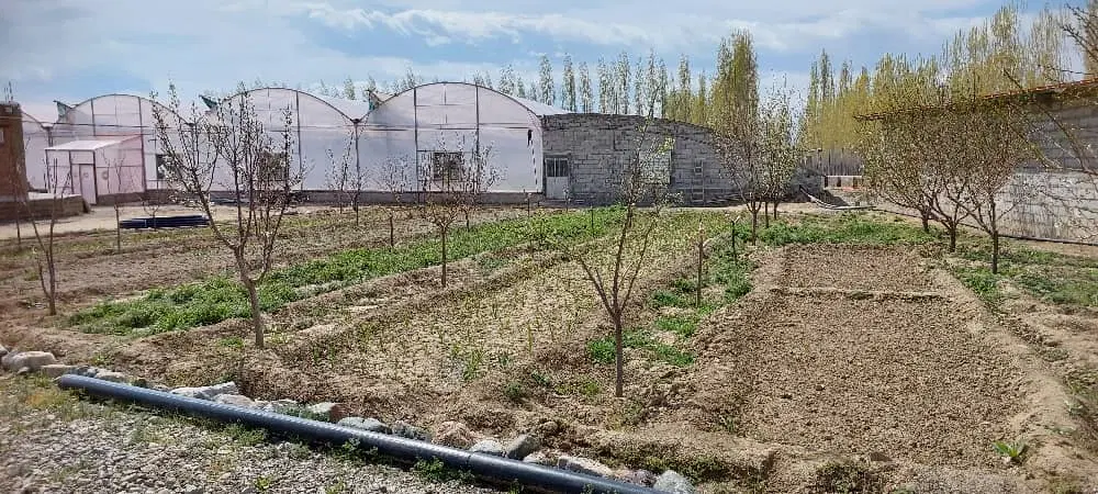 فروش گلخانه هیدروپونیک بعلت تغییرمکان_واقع درسلماس