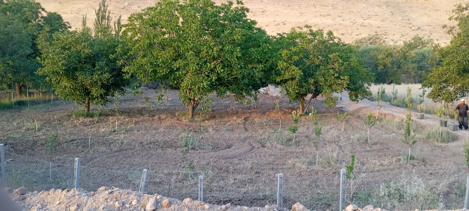 باغ اتوبان سقز بوکان