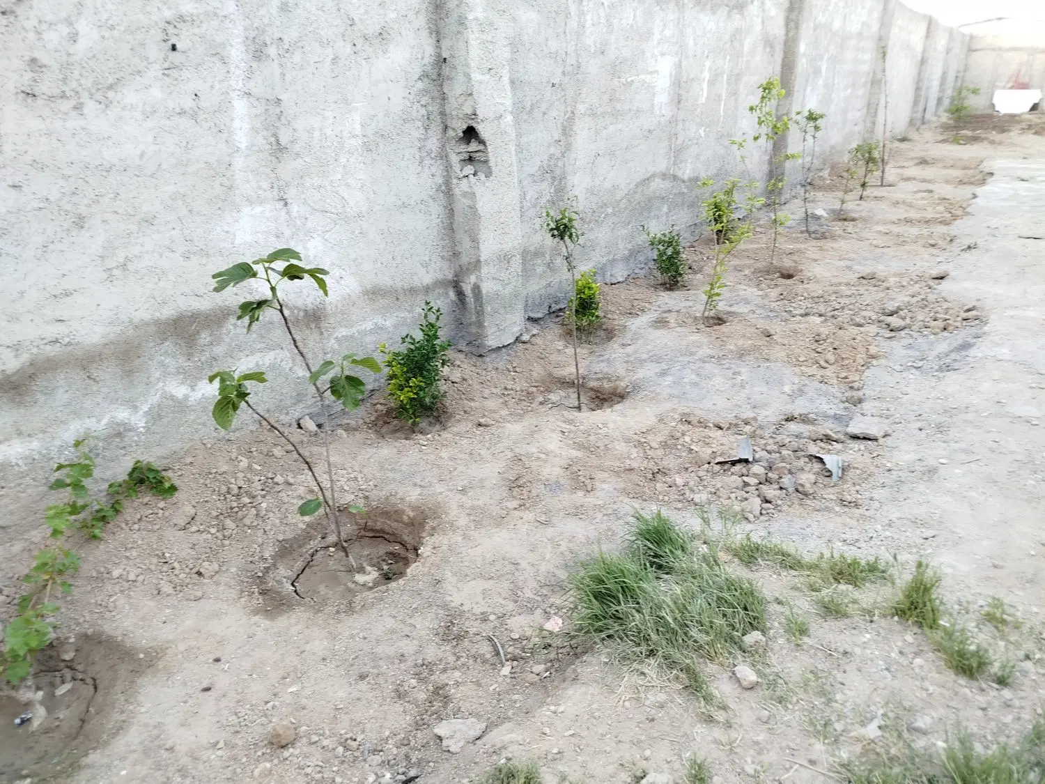 250متر چهار دیوار