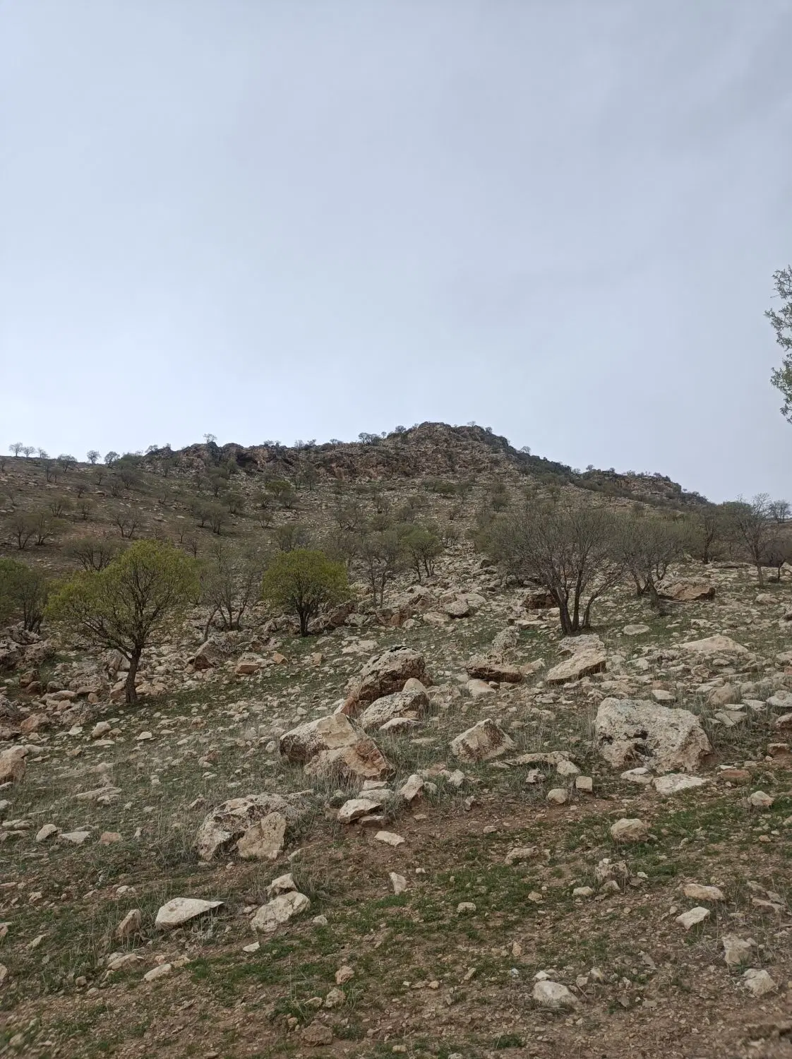 زمین و کارگاه